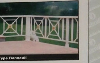 Balustrade de type Bonneuil sur une terrasse, extrait de la page 40 du catalogue Technifer.
